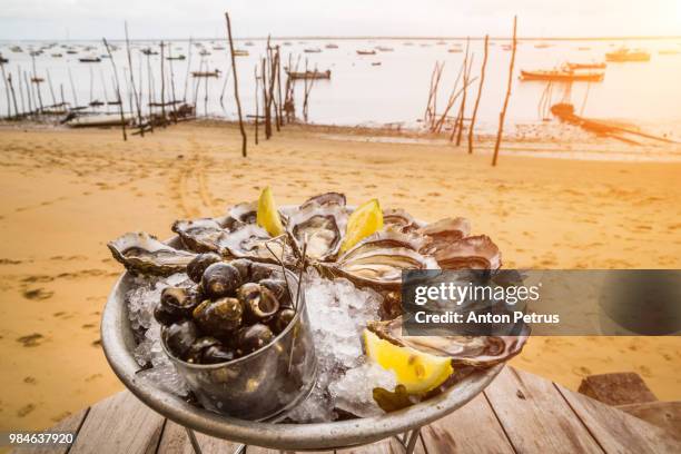 fresh oysters on ice with lemon on the beach - arcachon stock-fotos und bilder