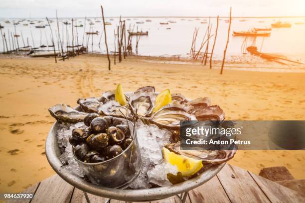 fresh oysters on ice with lemon on the beach - afrodisíaco fotografías e imágenes de stock