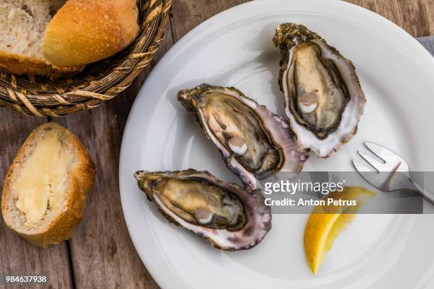 fresh oysters with lemon, bread and butter - afrodisíaco fotografías e imágenes de stock