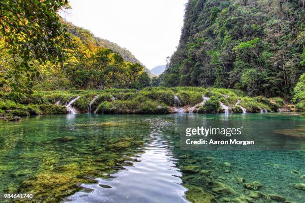 semuc champey - semuc champey stock pictures, royalty-free photos & images