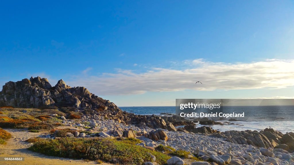 Late afternoon at the beach, 17 Mile Drive, Monterey, CA, USA