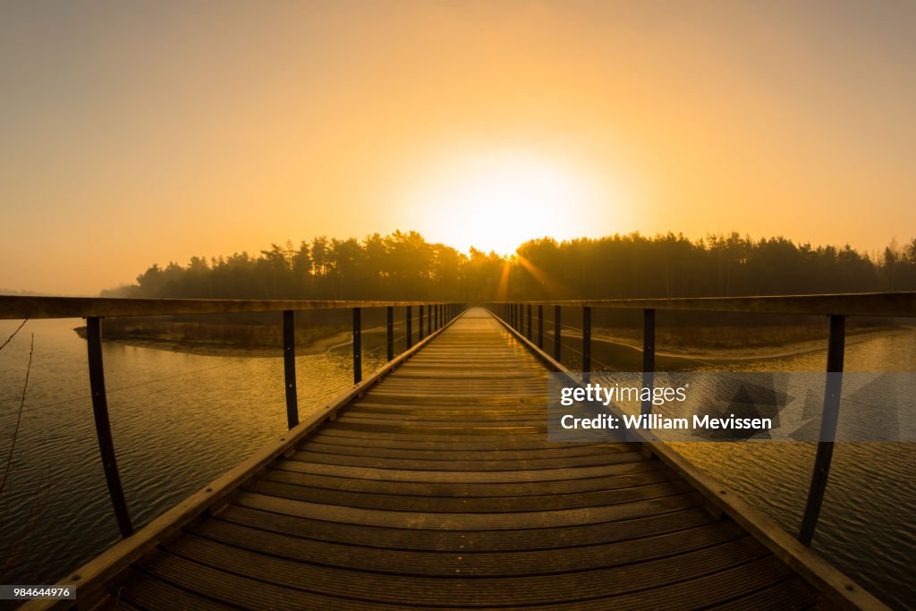 Morning Glow 'Bridge'