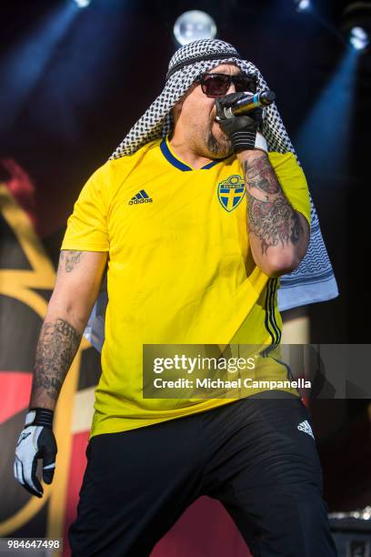 Real of the band Prophets of Rage performs in concert at Grona Lund on June 26, 2018 in Stockholm, Sweden.