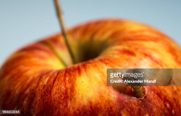 apfel mit wurm - apfel stock pictures, royalty-free photos & images