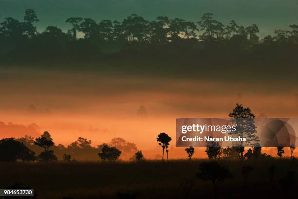 146 Thung Salaeng Luang National Park Stock Photos, HighRes Pictures
