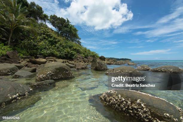 paradise ... - world oceans day foto e immagini stock