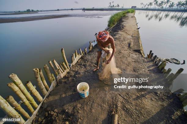 fisherman with his net at kadamakkudy,kerala - fish hatchery stock-fotos und bilder