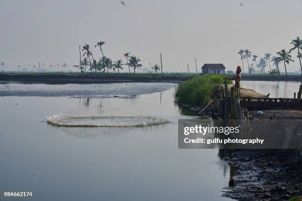 fishing at kadamakkudy,kerala - fish hatchery stock pictures, royalty-free photos & images