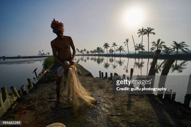 fisherman with his net kadamakkudy,kerala - fish hatchery stock pictures, royalty-free photos & images