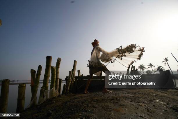 fishing with net at kadamakkudy,kerala - fish hatchery stock pictures, royalty-free photos & images