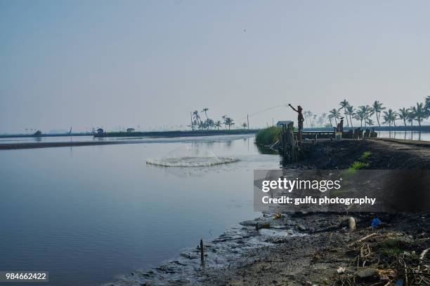 fishing at kadamakkudy,kerala - fish hatchery stock pictures, royalty-free photos & images