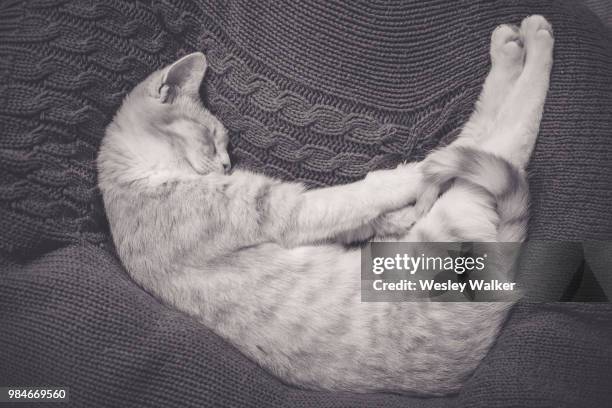 Wesley Walker Photos et images de collection - Getty Images