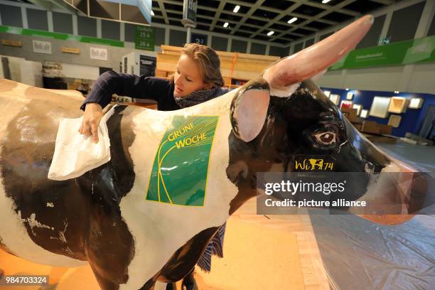 An employee of Halle Erlebnis Bauernhof cleaning an artificial cow in the Convention Center under the Funkturm in Berlin, Germany, 17 January 2018....