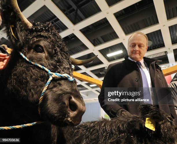 The president of the German Farmers' Federation, Joachim Rukwied , being briefed on Welsh Black cattle in the Halle Erlebnis Bauernhof during the...