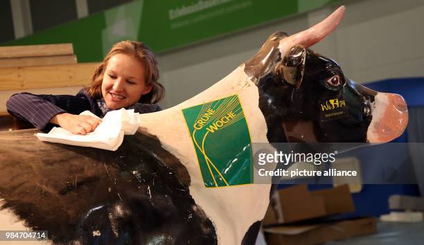 An employee of Halle Erlebnis Bauernhof cleaning an artificial cow in the Convention Center under the Funkturm in Berlin, Germany, 17 January 2018....