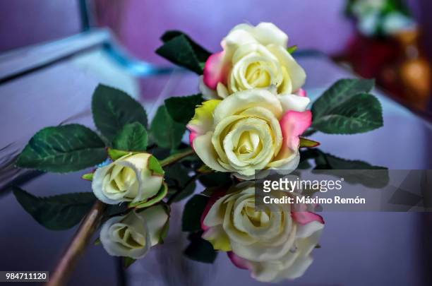 roses on a piano - piano rose fotografías e imágenes de stock