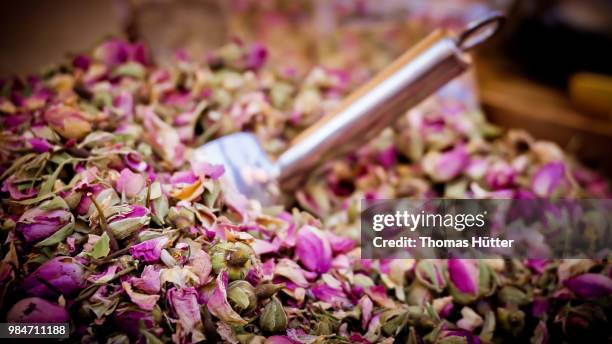 lavendel in nice - lavendel - fotografias e filmes do acervo