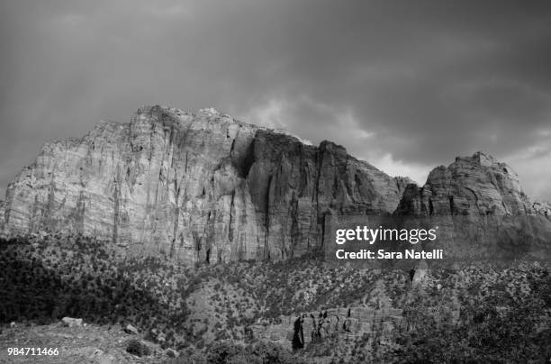 sandstone tranquility - sara natelli stock-fotos und bilder