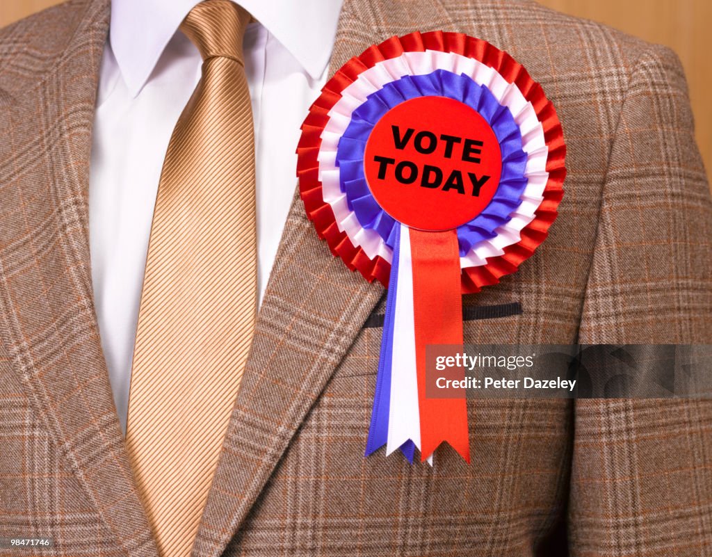 Vote today rosette