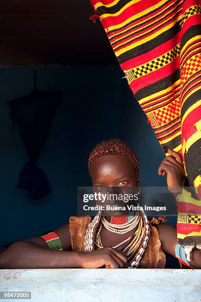 hamertribe  girl - omo valley stock pictures, royalty-free photos & images