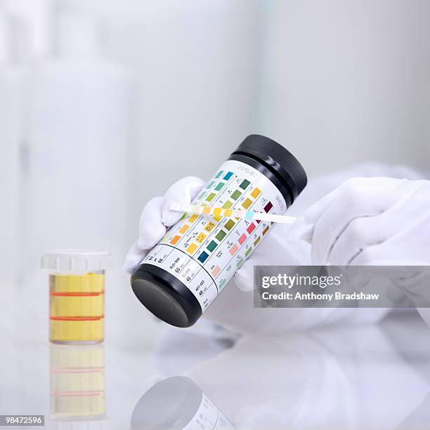 testing a urine sample - ph value stock pictures, royalty-free photos & images