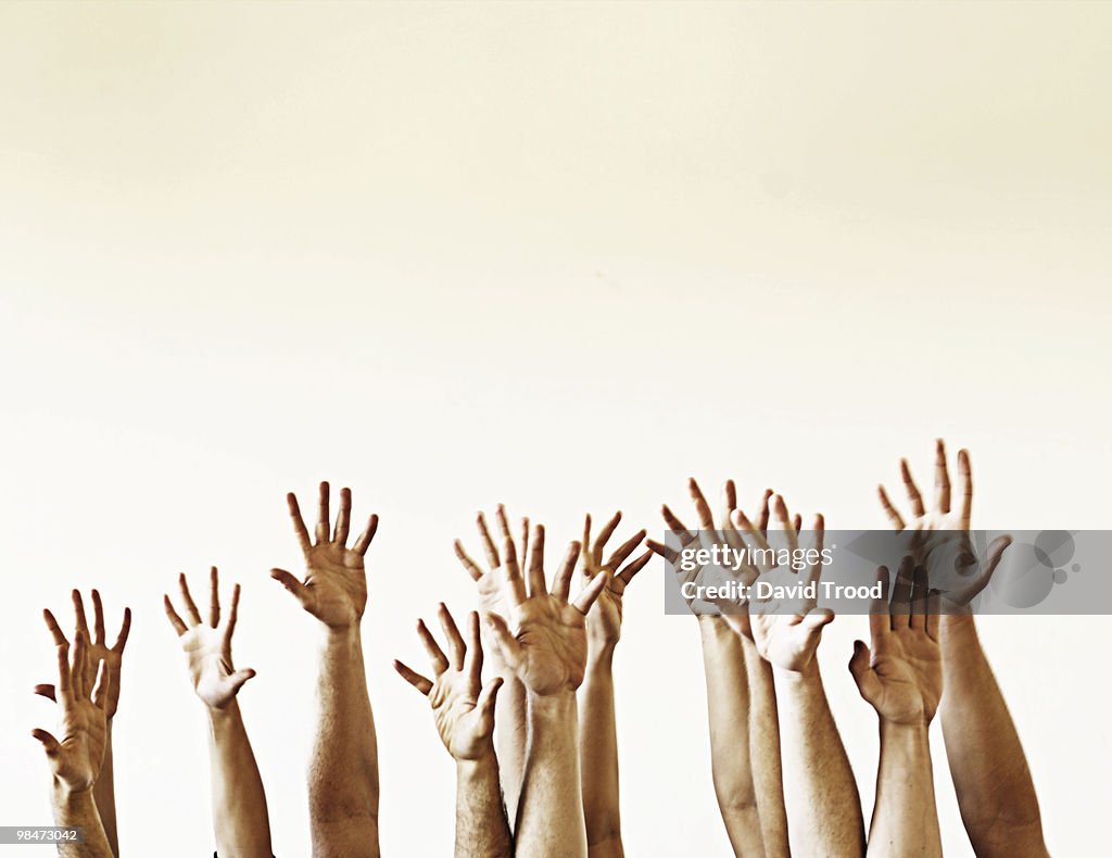 Hands in the air