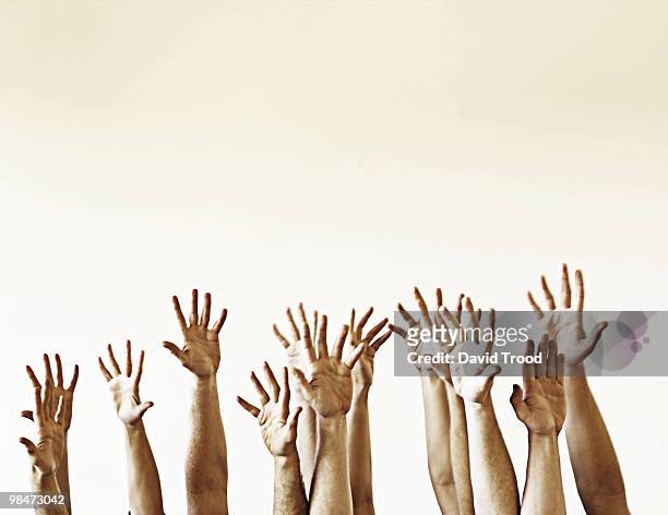 hands in the air - david trood stockfoto's en -beelden