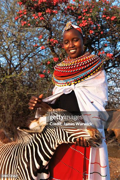 samburu woman with orphaned grevy's zebra foal - samburu photos et images de collection