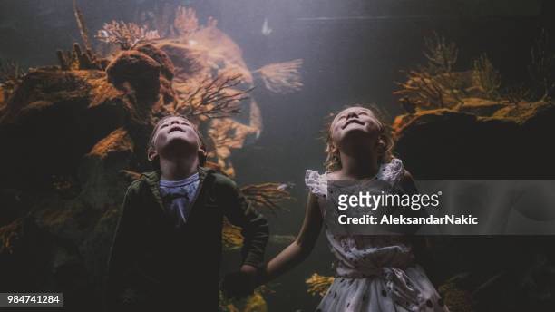 kids discovering underwater world - vienna museum stock pictures, royalty-free photos & images