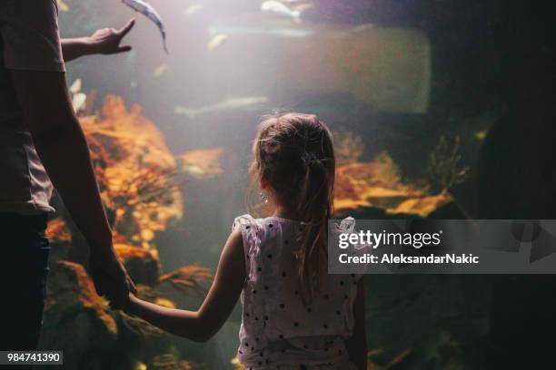 discovering underwater world with my mom - vienna museum stock pictures, royalty-free photos & images