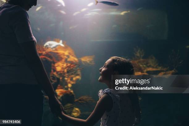 discovering underwater world with my mom - familie zoo stock pictures, royalty-free photos & images