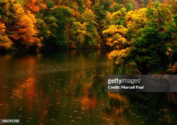 autumn dream - hungary landscape stock pictures, royalty-free photos & images