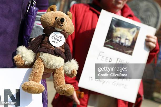 Animal rights activists make their point heard about the killing of a fox outside the ground during the LV County Championship Division Two match...