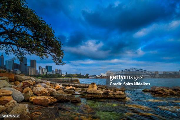 mrs macquarie's chair, sydney. - spirou stock pictures, royalty-free photos & images