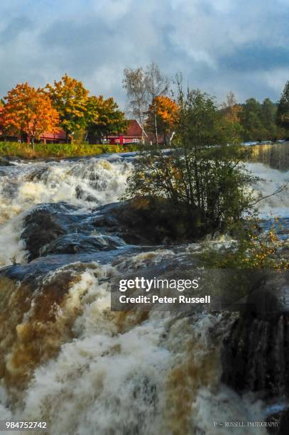 norwegian fall - iii - peter russell stock pictures, royalty-free photos & images