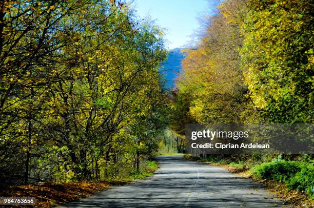 road to happiness - ciprian stock pictures, royalty-free photos & images