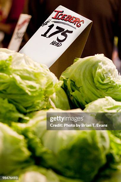 iceberg lettuce for sale at a market - iceberg lettuce stock pictures, royalty-free photos & images