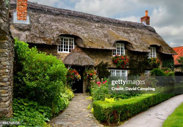 thatched cottage - telhado de palha imagens e fotografias de stock