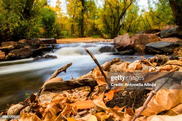 paz y tranquilidad - tranquilidad imagens e fotografias de stock