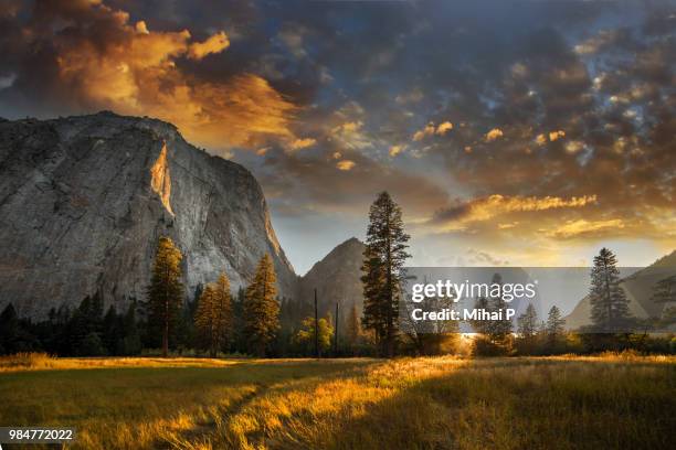 the sierra nevada at sunrise in yosemite national park in california. - yosemite national park stock-fotos und bilder