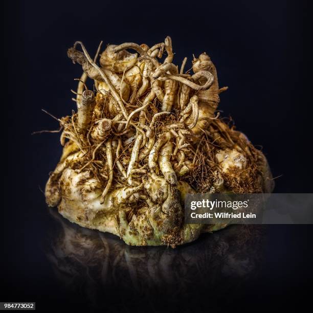 celery - celery root stock pictures, royalty-free photos & images