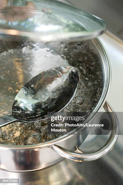 water boiling in pot - bollente foto e immagini stock