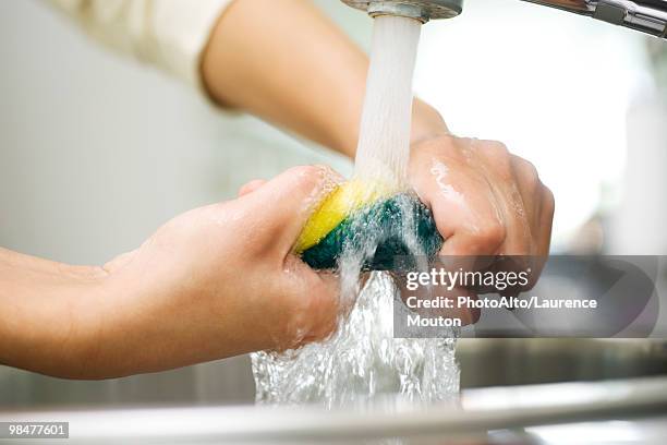 person rinsing sponge under kitchen faucet - spugna per le pulizie foto e immagini stock
