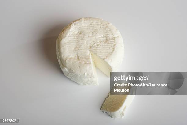 fresh soft goat cheese from tarn, france - queso de cabra fotografías e imágenes de stock