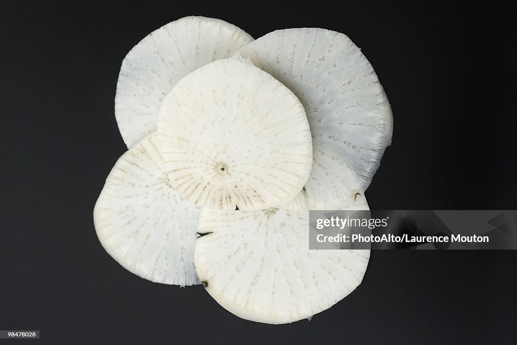 Black radish, sliced