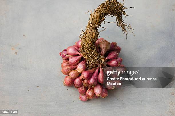 bunch of shallots - shallot stock pictures, royalty-free photos & images