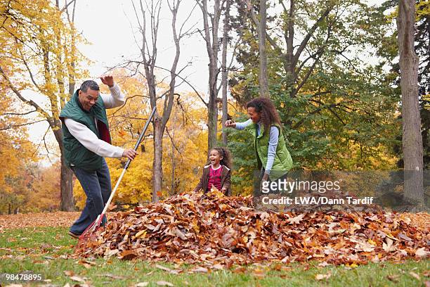 family raking autumn leaves - rechen stock-fotos und bilder