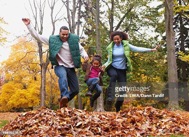 family jumping into pile of autumn leaves - vitality leaf stock pictures, royalty-free photos & images