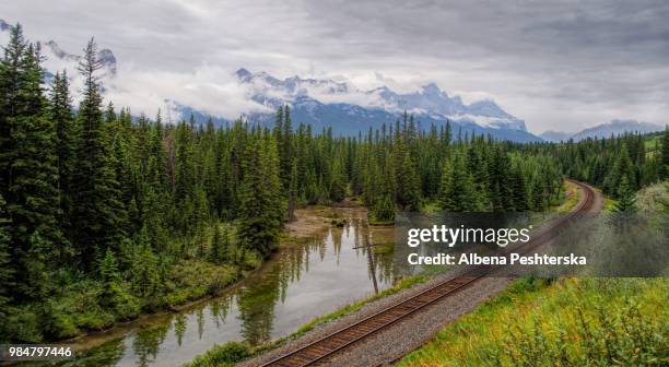 trans canadian railway,rocky mountains - albena bildbanksfoton och bilder