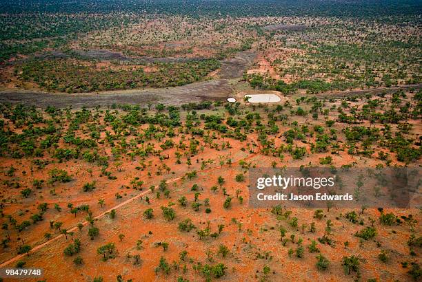 a dam waters cattle on a remote outback station in the red desert. - outback queensland stock pictures, royalty-free photos & images